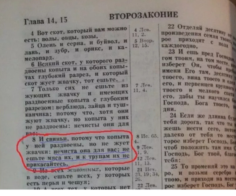 Комплекты Anais Oriah, Чёрный, S/M An_Oriah S/M - Anais - Эротические комплекты: трусики с поясом - Купить