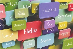 "Вы не должны чувствовать, что учитесь": полиглот, разговаривающий на 15 языках, дал хорошие советы новичкам