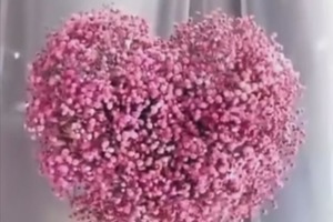 Теперь цветы в вазе обновлять не нужно: сделала нежное сердце из сухоцвета гипсофила