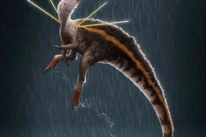 Динозавр с пушистой гривой и длинными иглами, растущими на плечах, проливает свет на то, как птицы, подобные павлинам, унаследовали свою спо