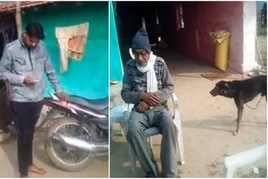Поссорившись с сыном, 50-летний индиец записал половину собственности на свою собаку Джеки