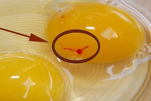 Влияние яиц с каплей крови на наше здоровье