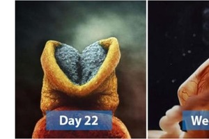 Завораживающие фотографии ранних этапов развития ребенка в утробе