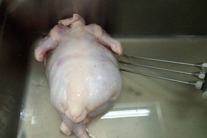 Работник "Магнита" рассказал, как тощие куры превращаются в аппетитные тушки