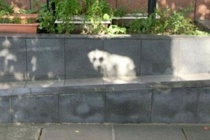 Иллюзия или реальность? 10 фотографий, которые сбивают с толку