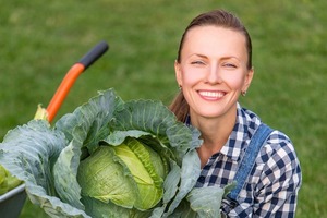Подглядела у соседки, как она спасается от гусениц. Теперь тоже так делаю