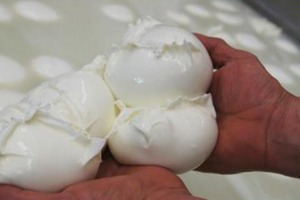 Подруга научила делать домашнюю моцареллу. Вкуснее магазинной, а готовится всего за полчаса