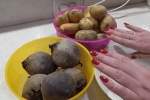 Подружка рассказала, как приготовить овощи за 10 минут: теперь использую только этот способ и всем рекомендую