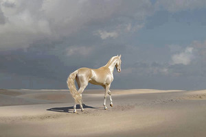 Самая красивая лошадь в мире живет в Турции: она как будто вся из золота