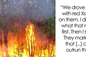 Волонтер рисует картину того, как на самом деле страшны лесные пожары