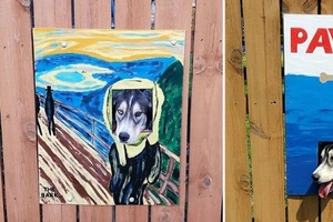 Владельцы каждый раз рисуют новые плакаты для отверстия в заборе, которое они сделали для своих собак. Соседям нравится
