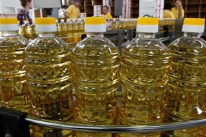 В России серьезный неурожай подсолнечника, который приведет к резкому повышению цен на масло