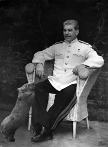 Сталин и вомбат4.jpg