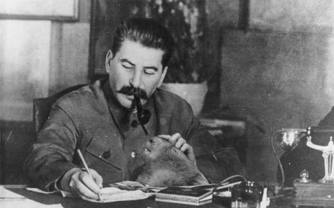 Сталин и вомбат.jpg