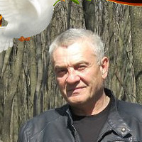 Виктор Голиков