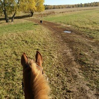 Horsewoman Liberty