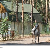 Александр Орехов