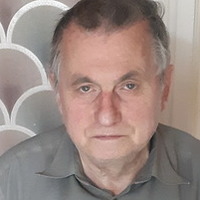 Вячеслав Подофедов