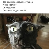 аноним аноним