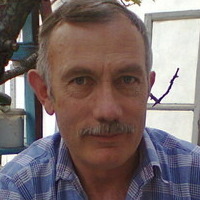 Александр Бурцев