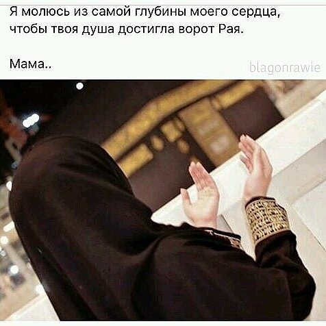 Оллох асрасин картинки