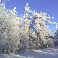 Наталья Дороничева