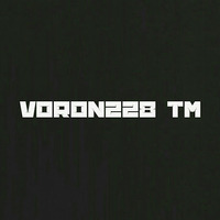Voron228 TM