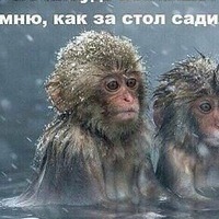 Неколай Солдатов